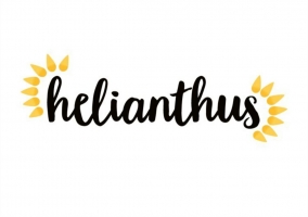 helianthus_az