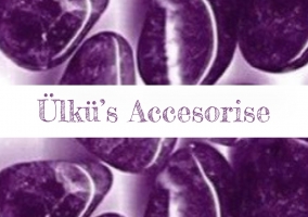 ulku.s_accesorise